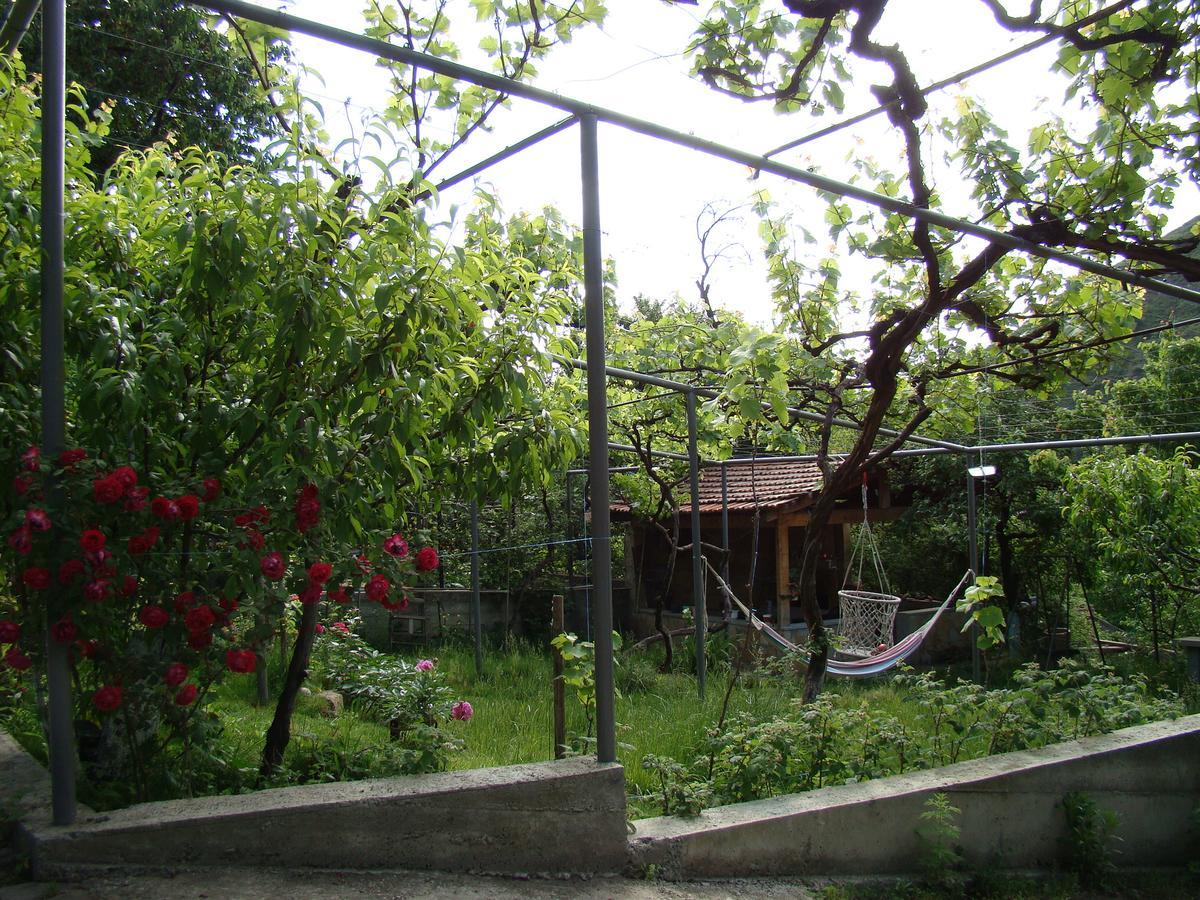 Guest House Ucha มซเคทา ภายนอก รูปภาพ