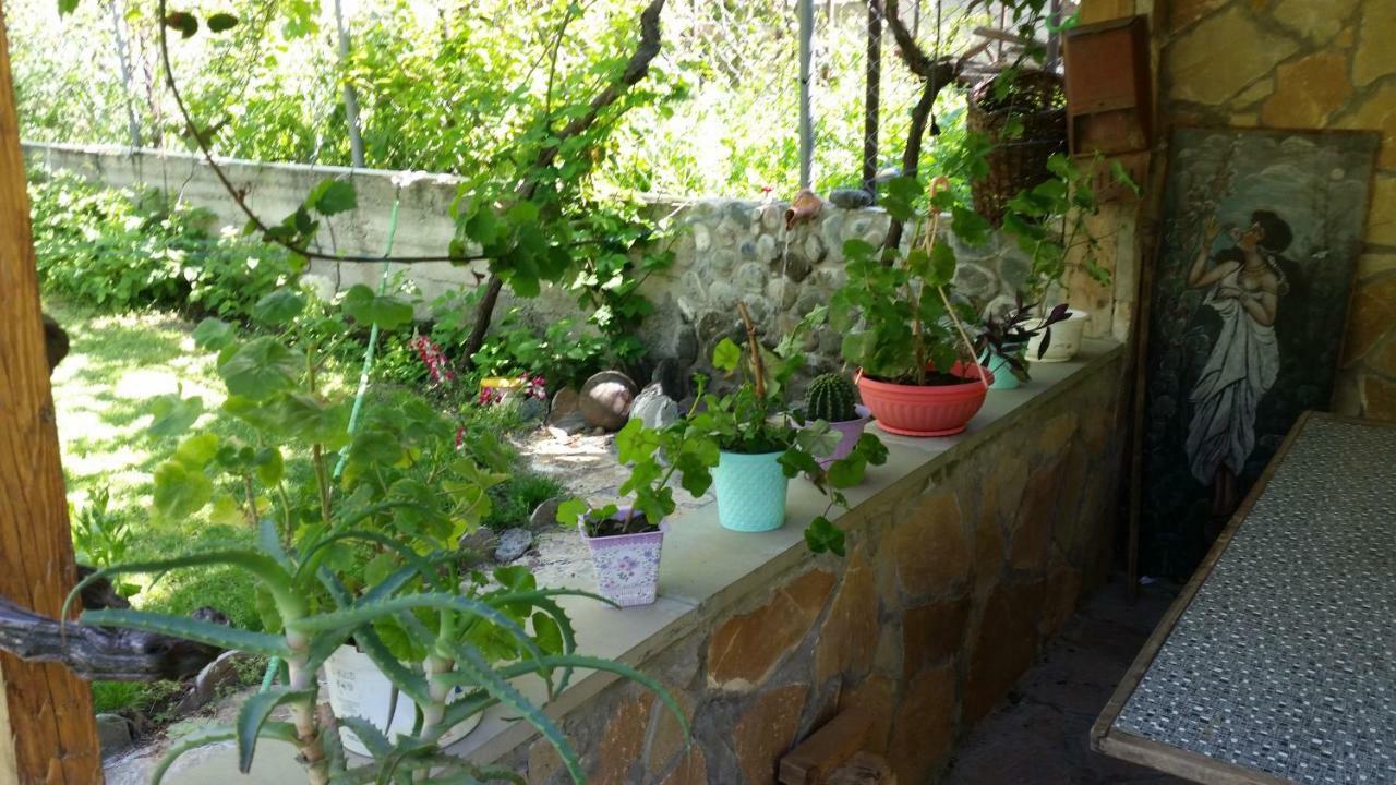Guest House Ucha มซเคทา ภายนอก รูปภาพ